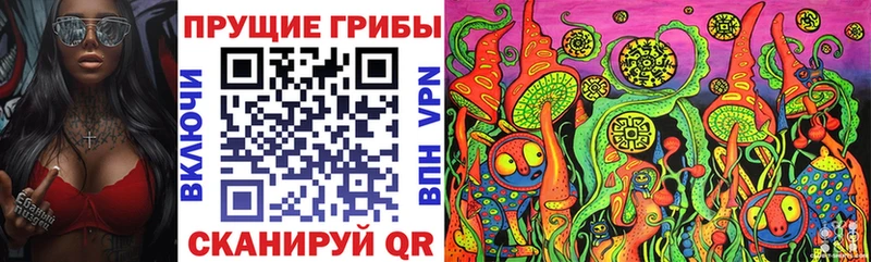 блэк спрут рабочий сайт  Цоци-Юрт  Галлюциногенные грибы мицелий  закладки 